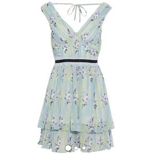 Self-Portrait Floral-Print Chiffon Mini Dress